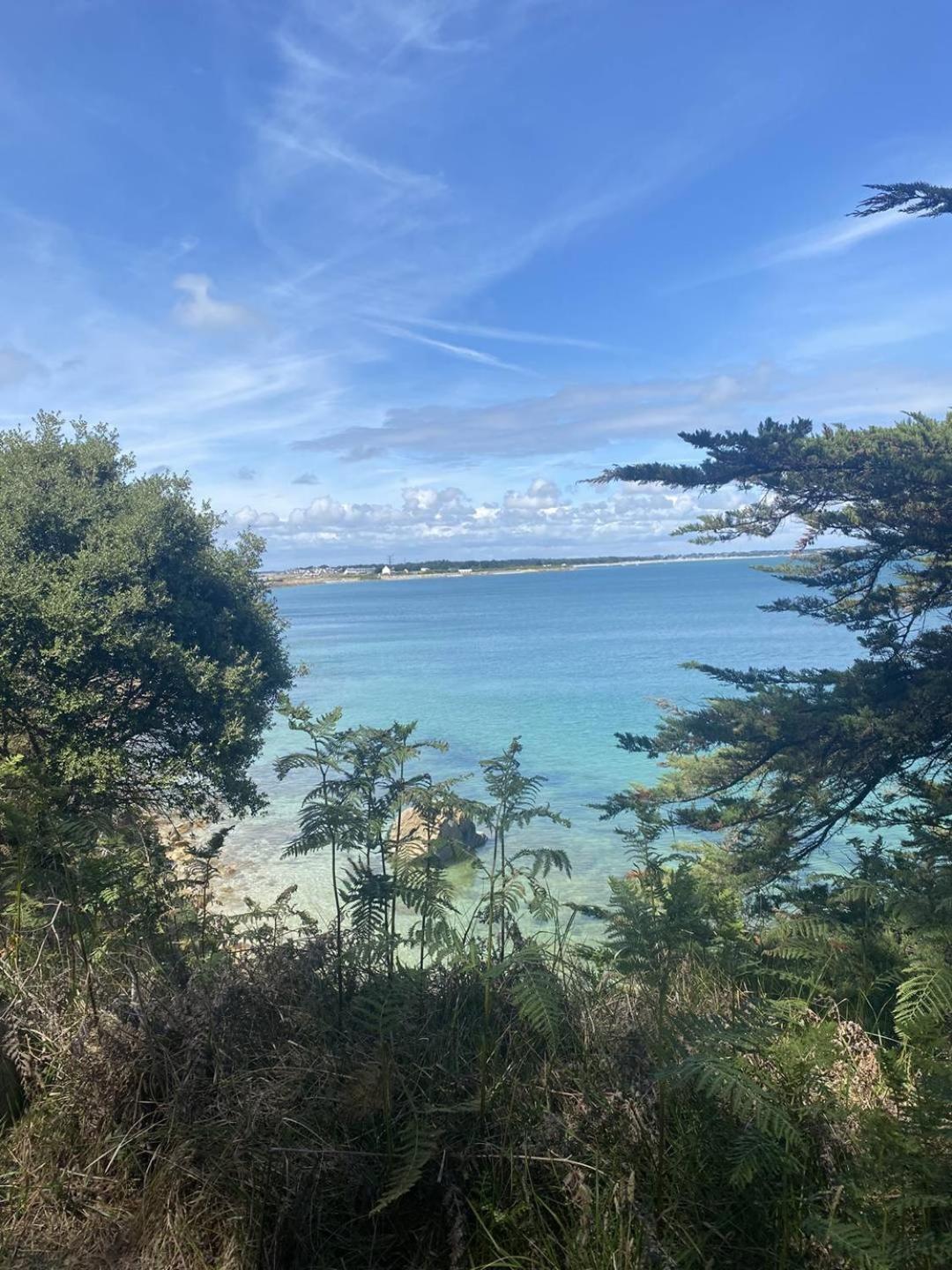 Confortable Studio, Wifi, Parking, Proche Plage Carnac Dış mekan fotoğraf